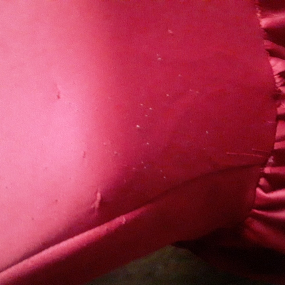Red Cutie - Picture 2 of 6